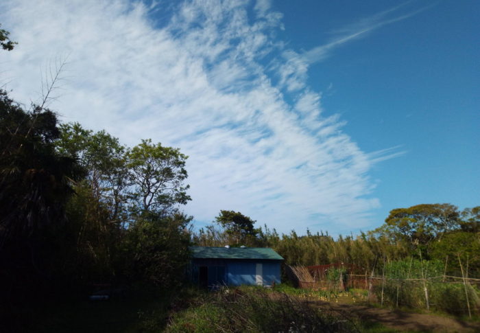 2020年5月12日（火）