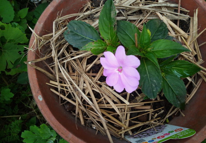 台風1号発生　　2020年5月13日（水）