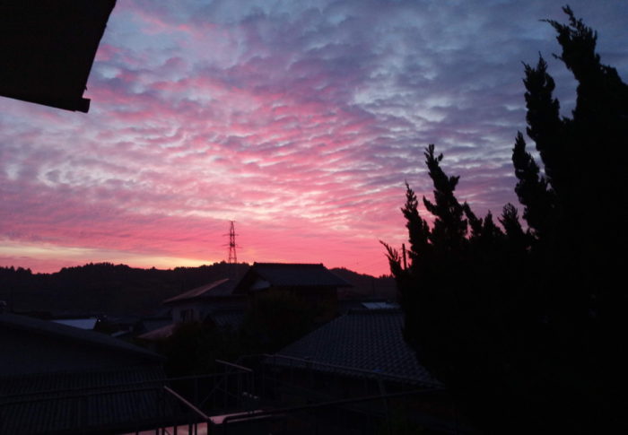今日から小学校再開です！　　　2020年6月1日（月）