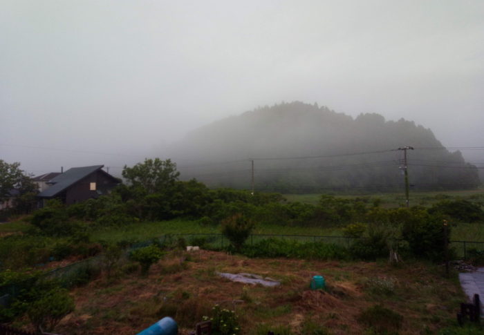 習近平、国賓としての招待は白紙へ　　　2020年6月6日（土）