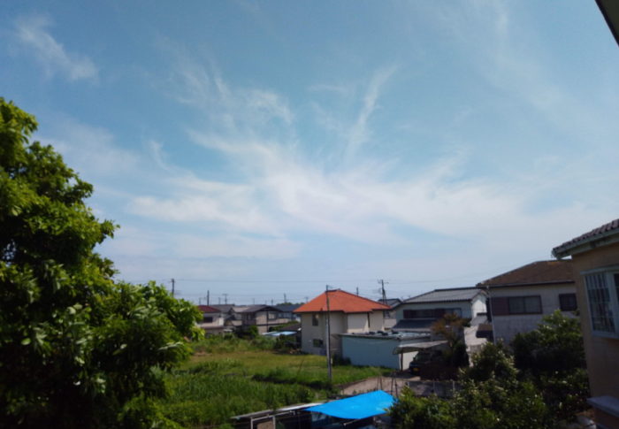 フォカッチャ成功！　　　2020年6月8日（月）