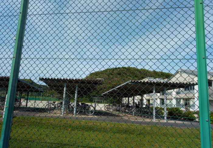 EMの梅を漬けました。　　2020年6月10日（水）