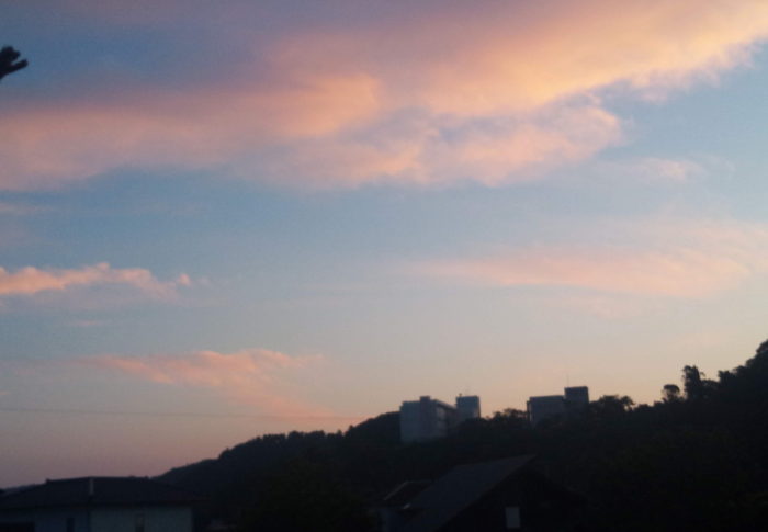 B1畝にサツマイモを挿したよ　　　2020年6月17日（水）