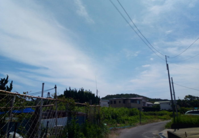 ドンゴロスで夏支度　　　2020年6月18日（木）