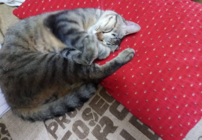 3.11．の裏で起きていた事　　　2020年7月2日（木）