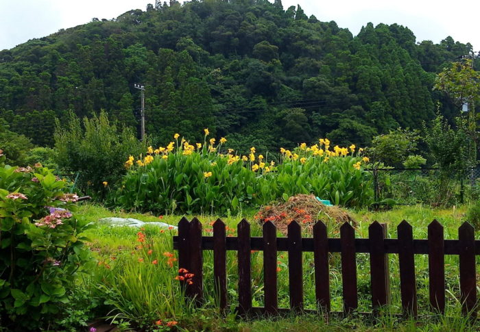 キャンプ生活　　　2020年7月15日（水）