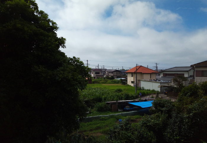 梅雨も最終盤？？？　　　2020年7月17日（金）