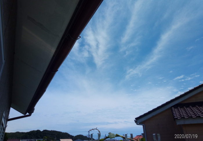 朝から濃密な霧　　　　2020年7月20日（月）