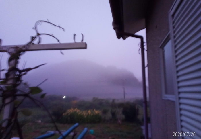 新月　　　2020年7月21日（火）