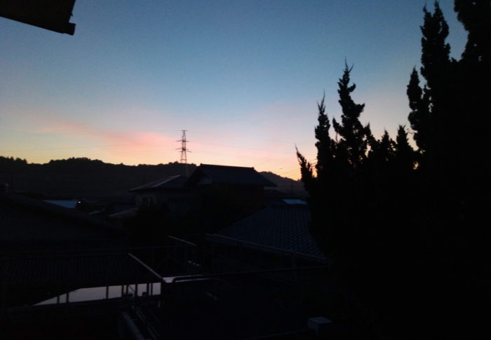 大きな西瓜が届きました！　　　2020年8月7日（金）