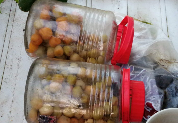 2020年8月9日（日）