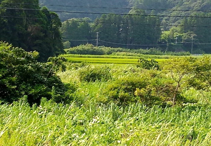 2020年8月10日（月）