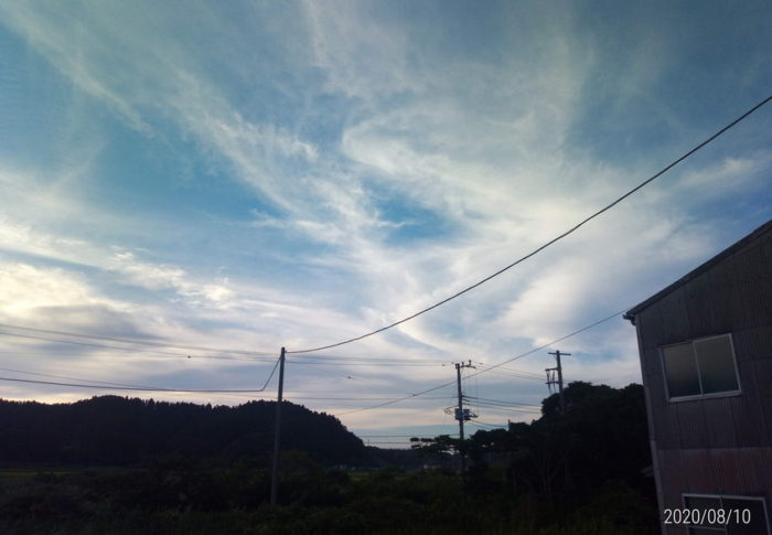 2020年8月11日（火）