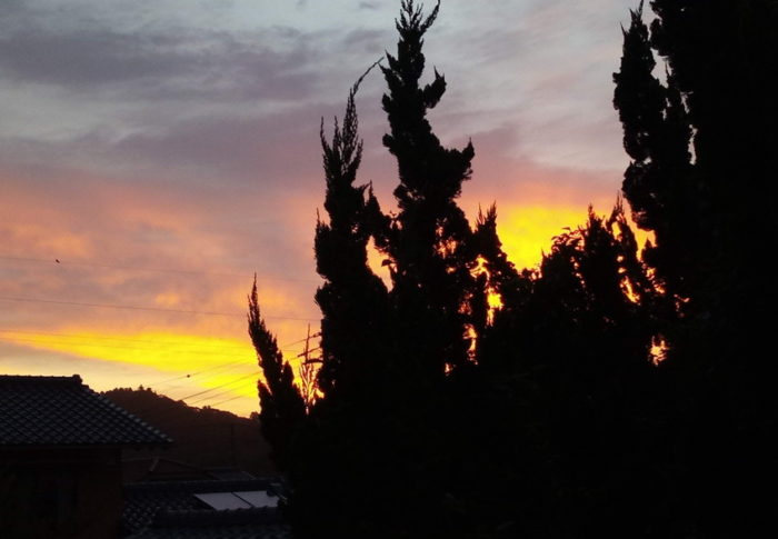 新月　　　2020年9月17日（木）