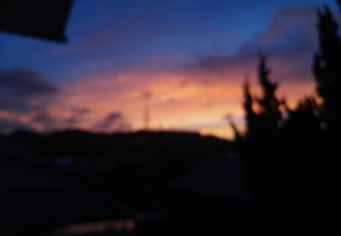 2020年9月19日（土）