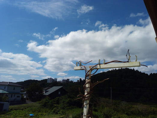 中秋の名月　　　2020年10月1日（木）