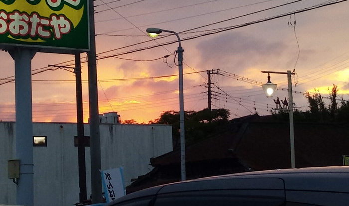 ジョウビタキが今日も来た！　　　2020年10月14日（水）