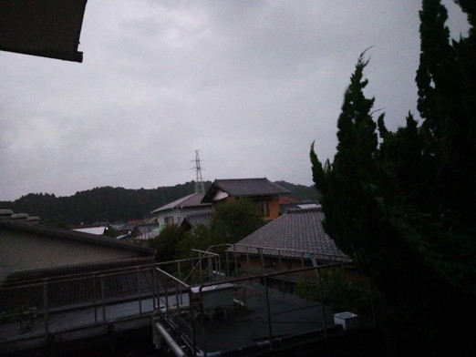 雨はつまらないニャ！　　　2020年10月18日（日）