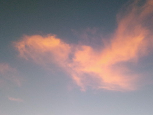 グルテンフリースタート！　　　2020年10月22日（木）