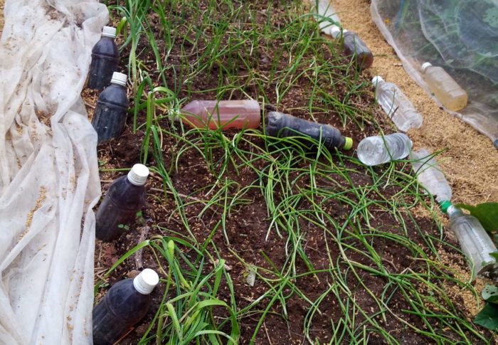 2020年11月9日（月）