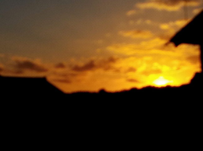 2020年11月10日（火）