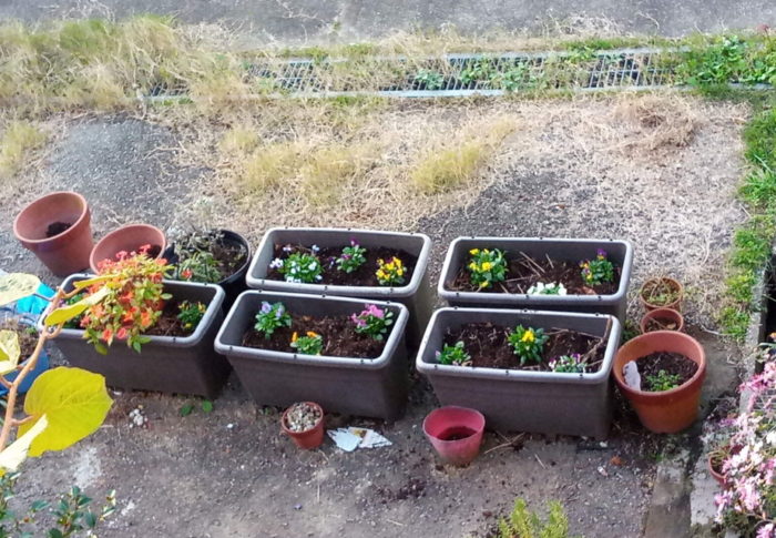 2020年12月３日（木）