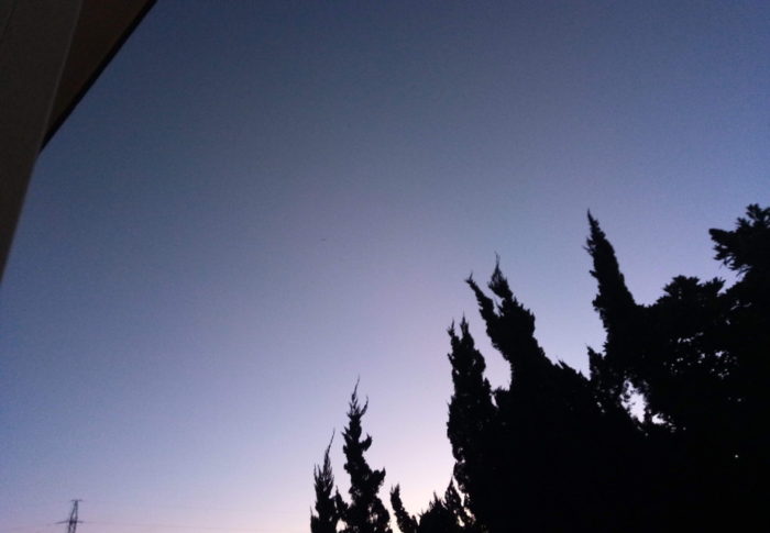 下弦の月・トラトラトラの日・秀子叔母の誕生日　　　2020年12月8日（火）