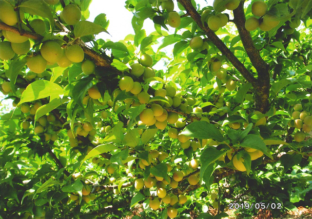 2020年12月23日（水）