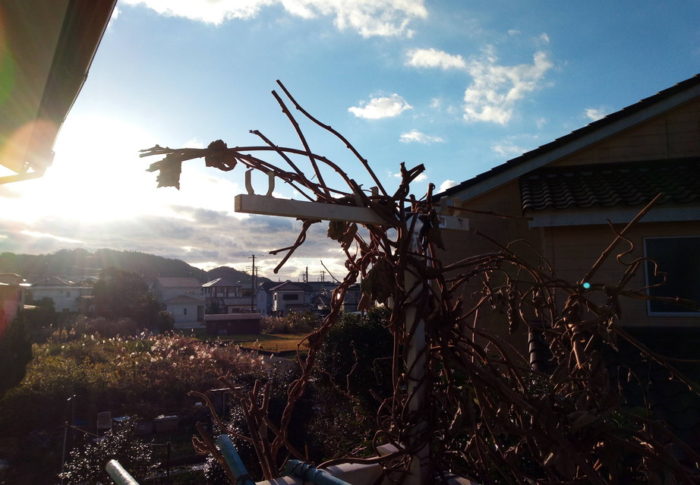 平凡な日が懐かしい…　　　2021年1月3日（日）　