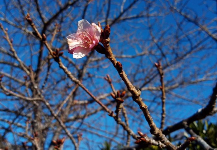 令和3年　　2021年1月15日（金）