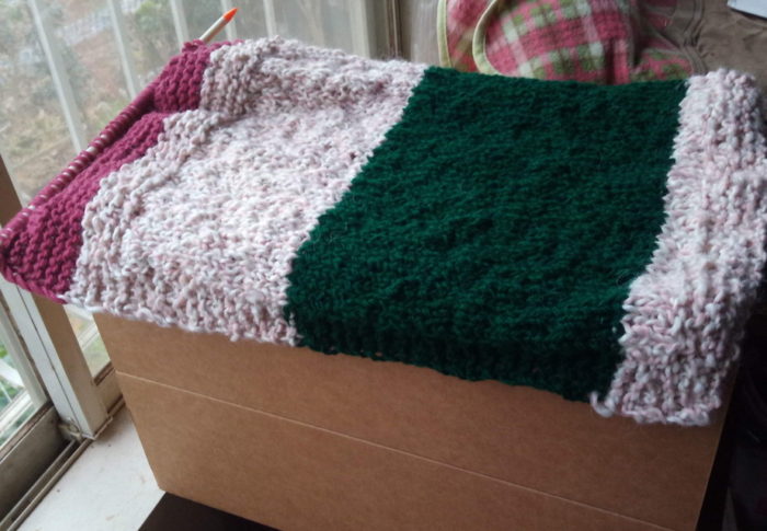 令和3年　　2021年1月16日（土）