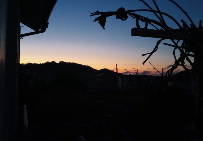 Operation A Wonderful Journey      大寒　　令和3年　　2021年1月20日（水）