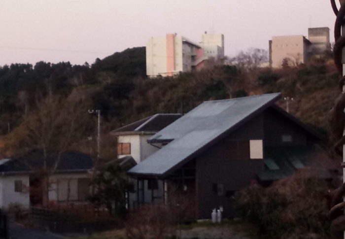 始まった！！！　　　令和3年　2021年2月1日（月）