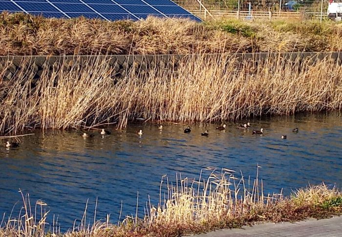 下弦の月　　　令和3年　　2021年2月5日（金）