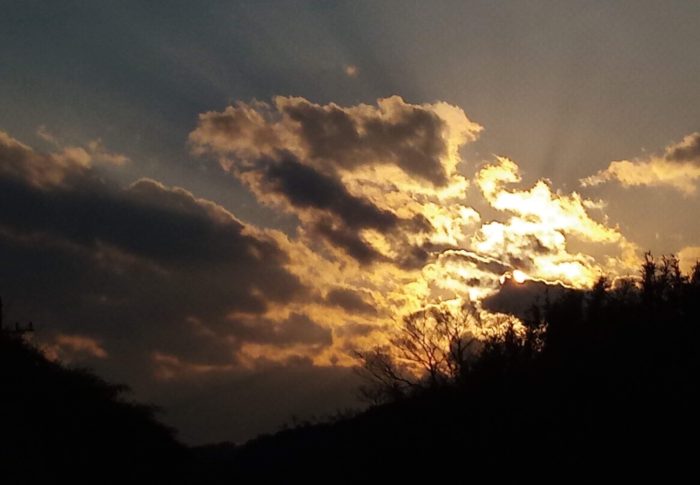 彗星近日点　　　令和3年　　2021年2月9日（火）