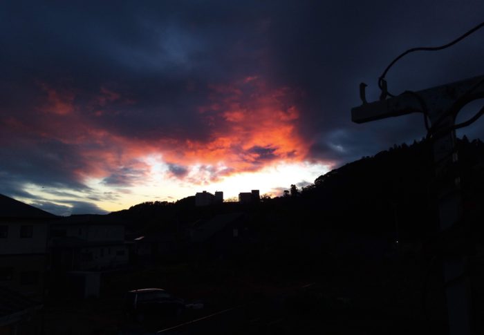 トンネルからこども達が助け出されました！！😿　　　動画①参照　　令和3年　　2021年2月16日（火）