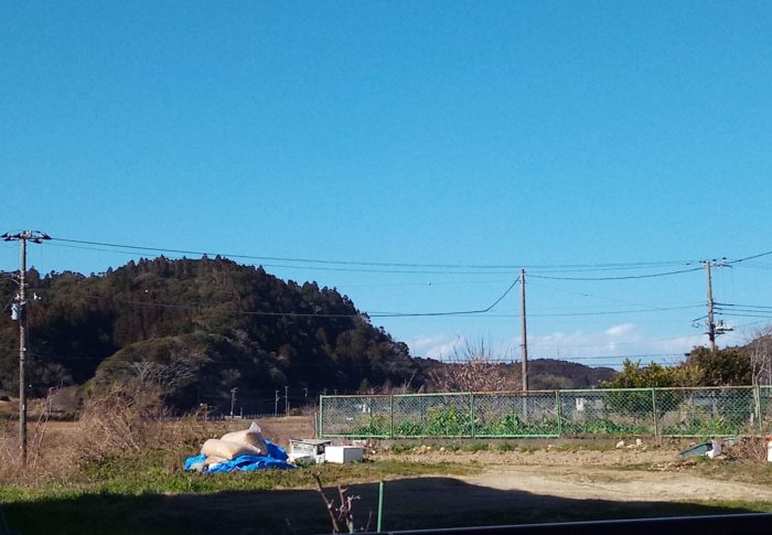 ホ～ホケキョ～♪　　　令和3年　　2021年2月17日（水）