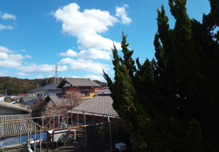 ジャガイモの芽が！　　　令和3年　　2021年2月18日（木）