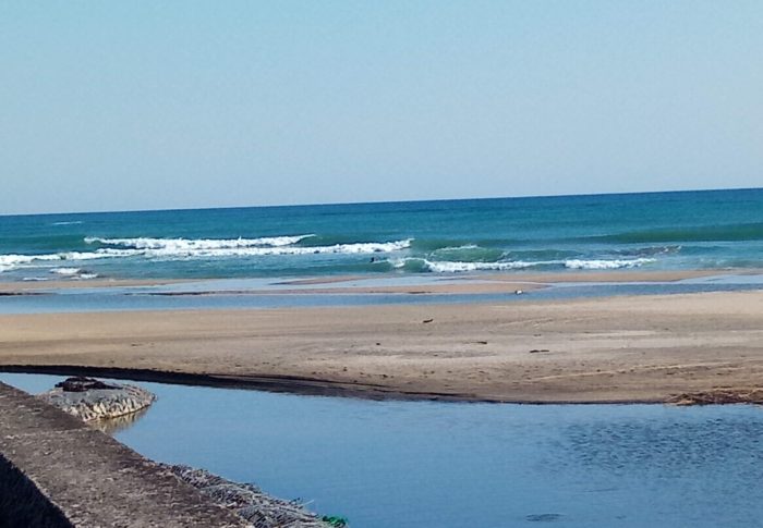 目覚めよ、日本人！！