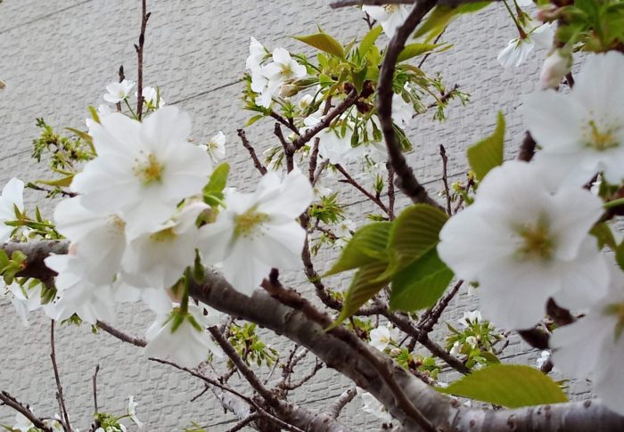 M7.2　春分は宇宙元旦