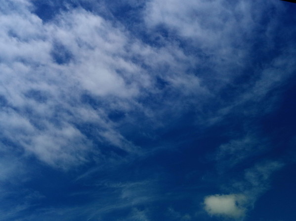 ホンの束の間の青空でしたが、綺麗な青空にしばしうっとり！