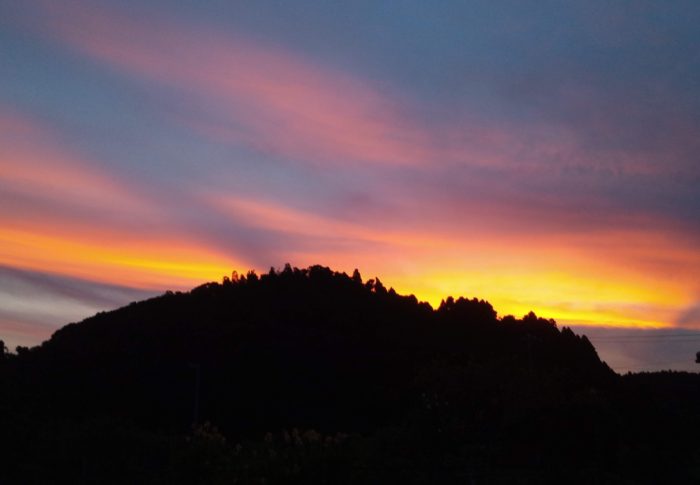 期待通りの、鮮やかな残照を見る事が出来ました。