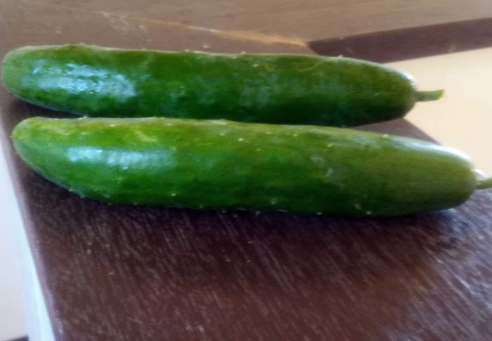 零れ種で生えた胡瓜の実がなりました。2本、少し若い内に収穫！