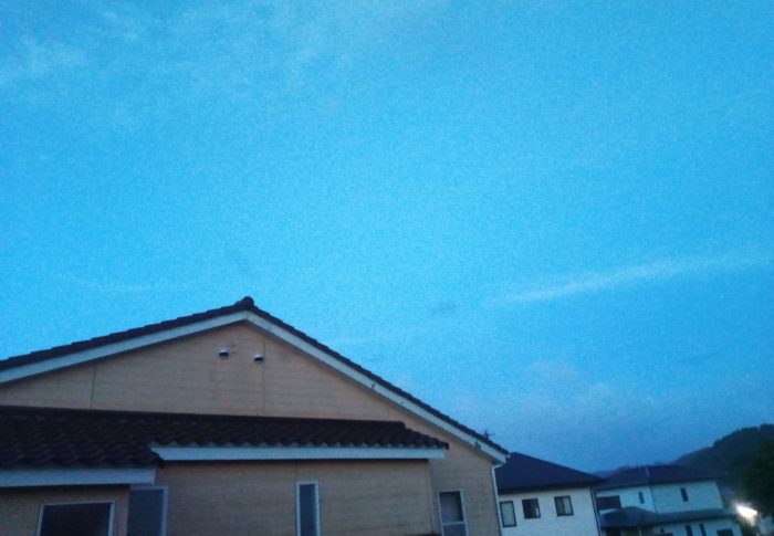 居ないと思った福はお隣の屋根の上で蝙蝠たちの舞い踊りをみていました