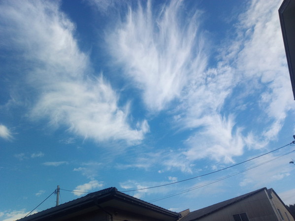 白くて大きな羽毛の様な雲になりました。雲は楽しいですねぇ。