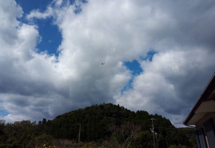 日向ぼっこをすると、福が蔭に入る位今の季節でも日中の日差しは結構強いです。