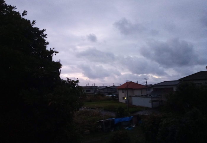 雨が一旦小休止して降り出したのは小雨。エッ！？14時には確り降って来ましたよ