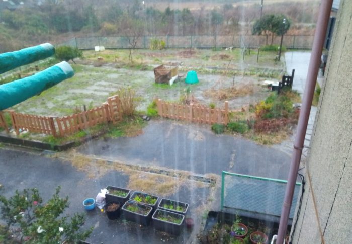 34mm／時の雨が続くとこんなにビショビショになります。