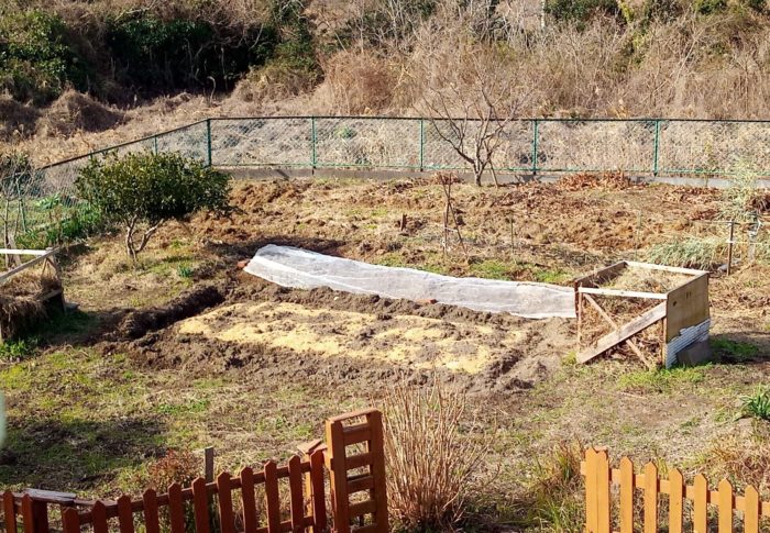 西隣さんでお借りした一畝を初夏までに育てます！