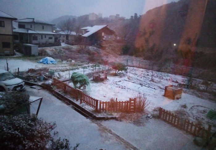 何年振り？真っ白な御宿の雪景色初めてじゃないかしら。